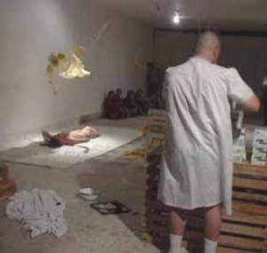 Pancho López y Shelley cook