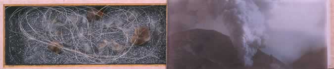 Miguel Ángel Blanco