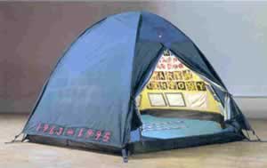 Tracey Emin