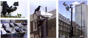 Banksy
